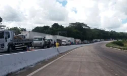 Cooperativa de Uruguaiana entrega mais de 16 mil kg de doações