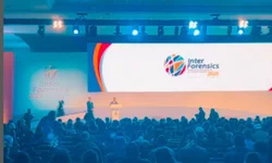 Quatro mulheres foram assassinadas por dia no Brasil em 2024