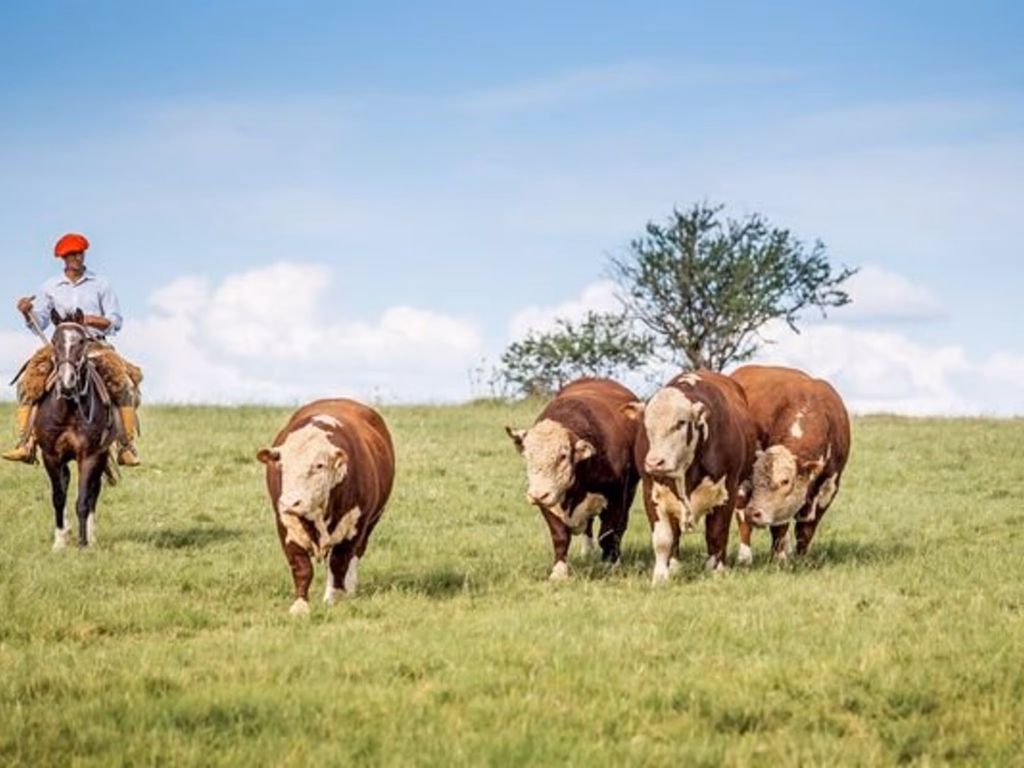 Segunda etapa começa dia 1º