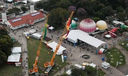 Veterinários questionam prorrogação de instrução sobre Influenza Equina