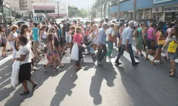 Uruguaiana pode ter mês de combate aos maus tratos contra animais