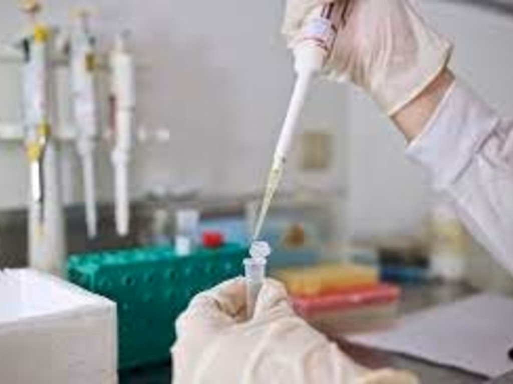 Unipampa lança edital de Programas Institucionais de Bolsas