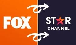 Sebrae RS lança página para esclarecer dúvidas sobre linhas de crédito