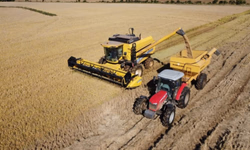 Associações iniciam inscrições para Expointer 2025