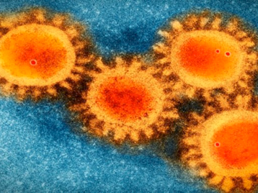 Uruguaiana tem 12 casos ativos