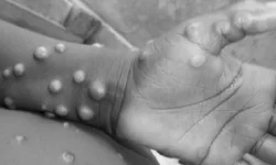 Reunião debate fenômenos climáticos no Estado