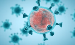 Projeto arrecada caixas de leite para tapar frestas de casas