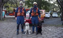 Segurança Pública realiza ação contra tráfico de pessoas