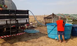 Receita passa a permitir quitação de débitos com cartão de crédito