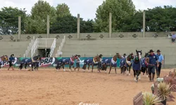 Desemprego sobe para 8,6% no trimestre encerrado em fevereiro