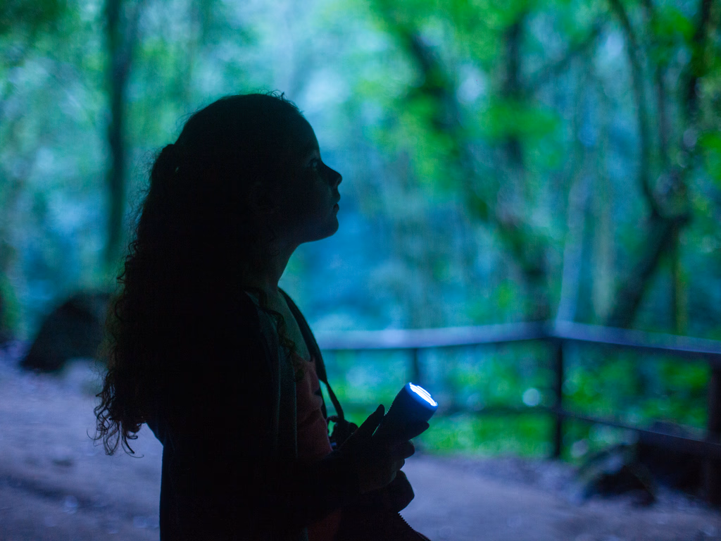 Festival Internacional de Cinema da Fronteira divulga filmes selecionados