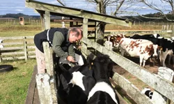 Governo espera superar público e negócios da última edição