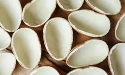 Aniversário da Câmara é celebrado com homenagens e memória