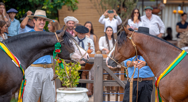 Exposição Passaporte em Bagé define oito nomes para a final