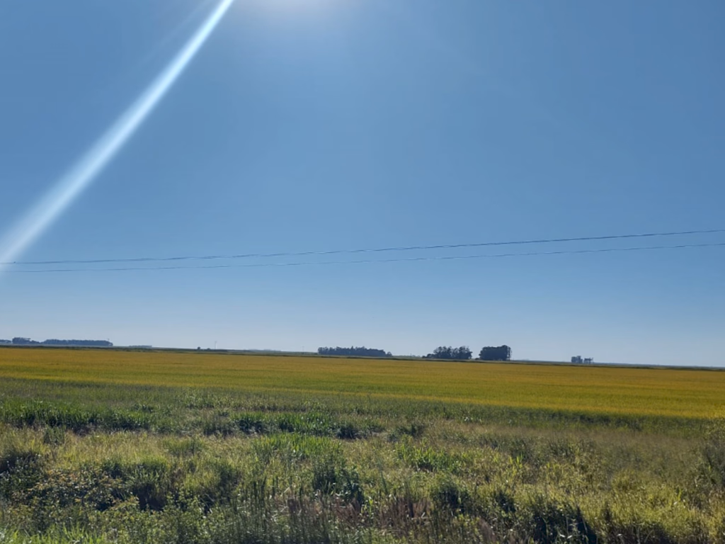 Pampa perdeu área duas vezes maior que o território de Porto Alegre