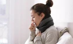 Estado registra 48 mortes por dengue