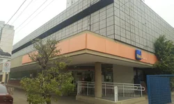 Calor pode favorecer a entrada de gafanhotos no RS