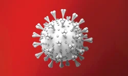 Uruguaiana chega a 40 óbitos por covid-19