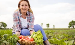 Regulamentada retomada do bônus de adimplência em contratos do Feaper