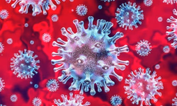 Estado não conseguiu atingir meta de imunizar 100% da população