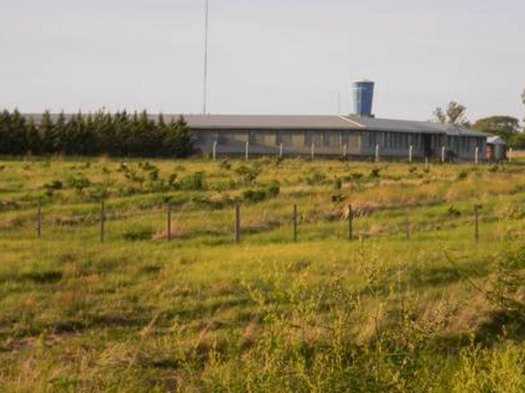 Inscrições abertas para curso técnico em Agropecuária