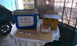 Veículos de carga que ingressam no país passam por sanitização