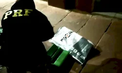PRF apreende cerca de 50kg de droga