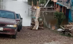 Uruguaiana aparece em sétimo lugar no segmento da Agropecuária