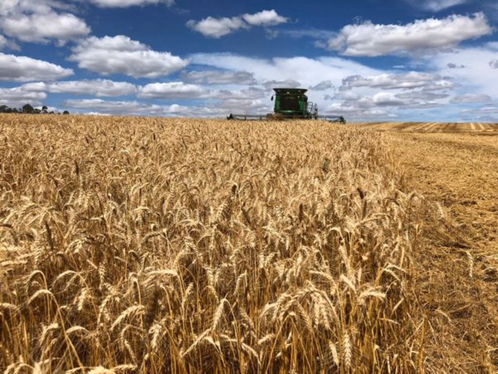 FecoAgro/RS projeta alta em faturamento e manutenção em resultados de cooperativas