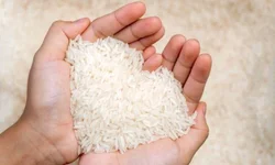 Curta de Uruguaiana vence prêmio no Festival de Cinema de Gramado