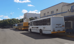 Feira da Comunidade será retomada neste domingo