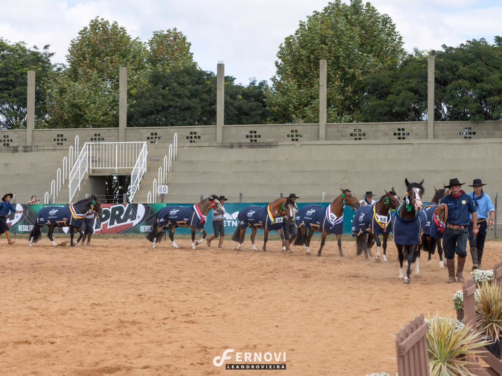 Paraná define os primeiros passaporteados do Ciclo Morfológico 2023