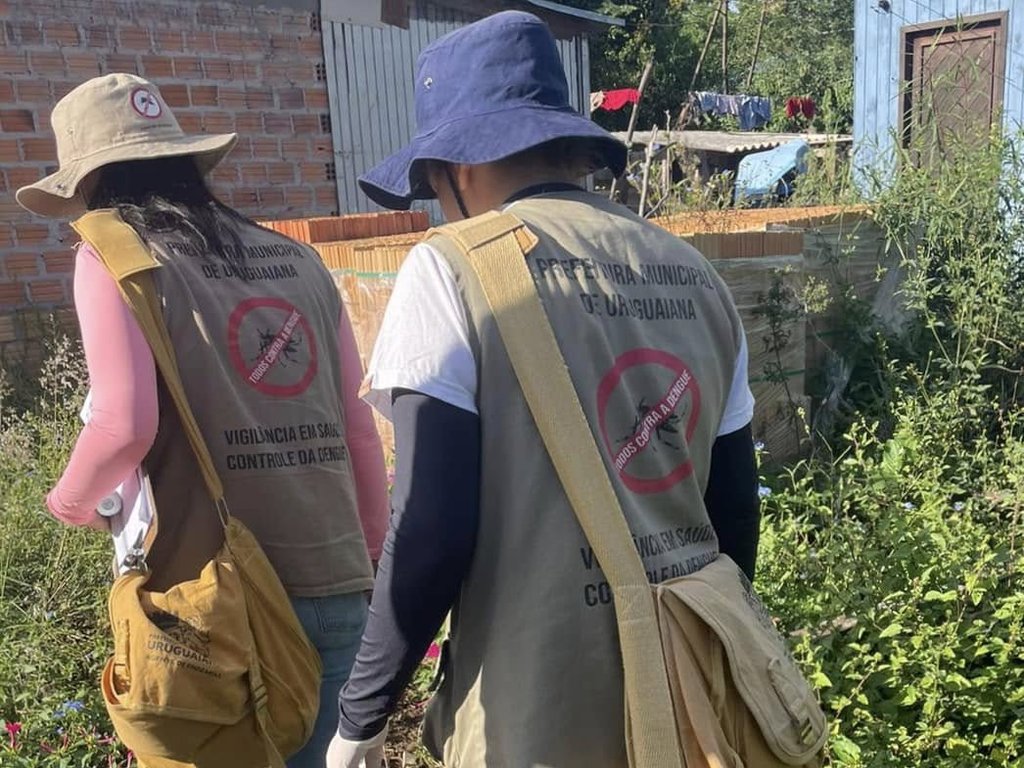 Primeiro boletim do ano não registra casos de dengue