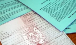 Criado manual de recomendações para frigoríficos