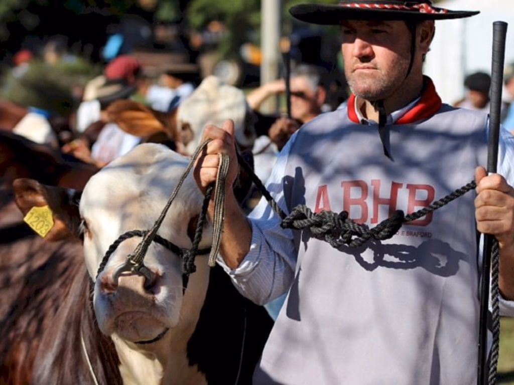 Abertas inscrições para Exposição Nacional 2021