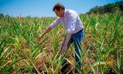 Votação está ocorrendo tranquilamente