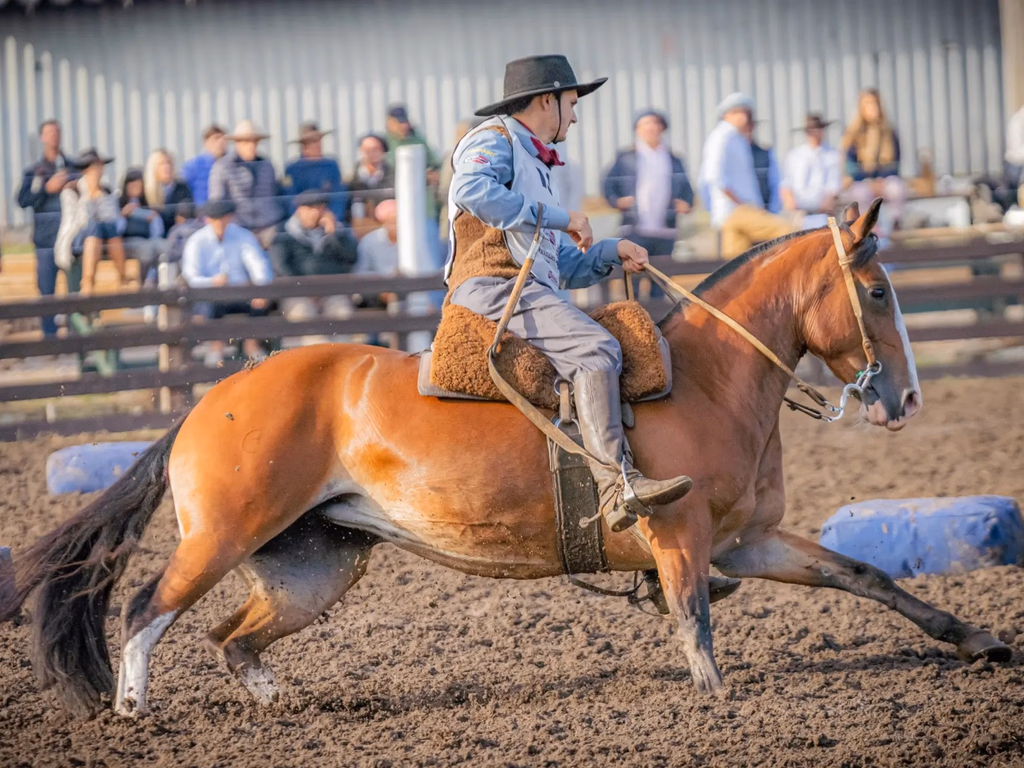 Cavalos de Bagé são destaque em classificatória no Uruguai