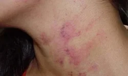 Candidato pode usar marca de empresa privada em nome de urna, diz TSE