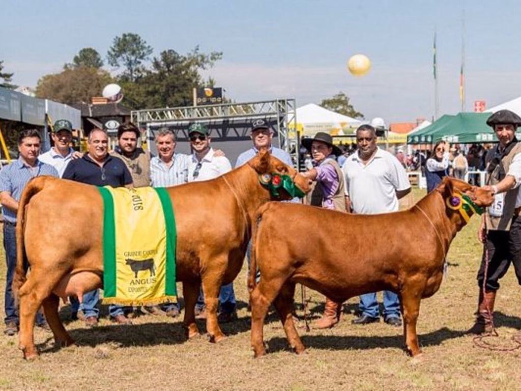 Alegrete fica com o Grande Campeonato Angus
