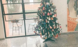 Aprovados nos Técnicos Subsequentes devem confirmar vaga até 30/11