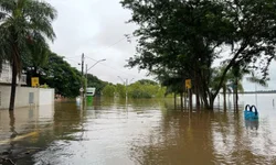 Estado prorroga prazo de pagamento do IPVA 2024