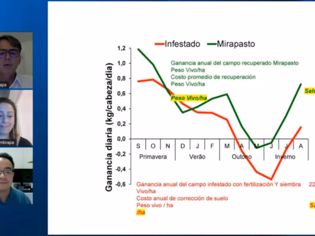 Método de combate pode garantir ganho líquido de 139 kg vivo por hectare