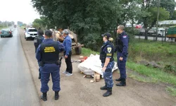 PRF apreende 17,5 mil maços de cigarros contrabandeados