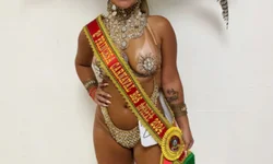 Avião retorna ao aeroporto após colisão com pássaro