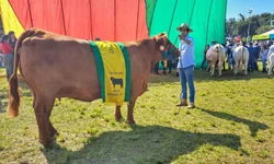 Projeto de hidroginástica atende mais de 100 pessoas