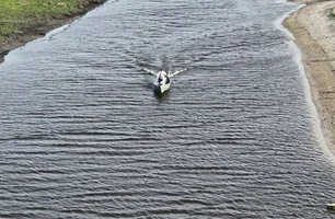 Encerrado foco de gripe aviária na Estação Ecológica do Taim