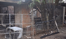 Ministério da Justiça regula uso de IA por forças de segurança