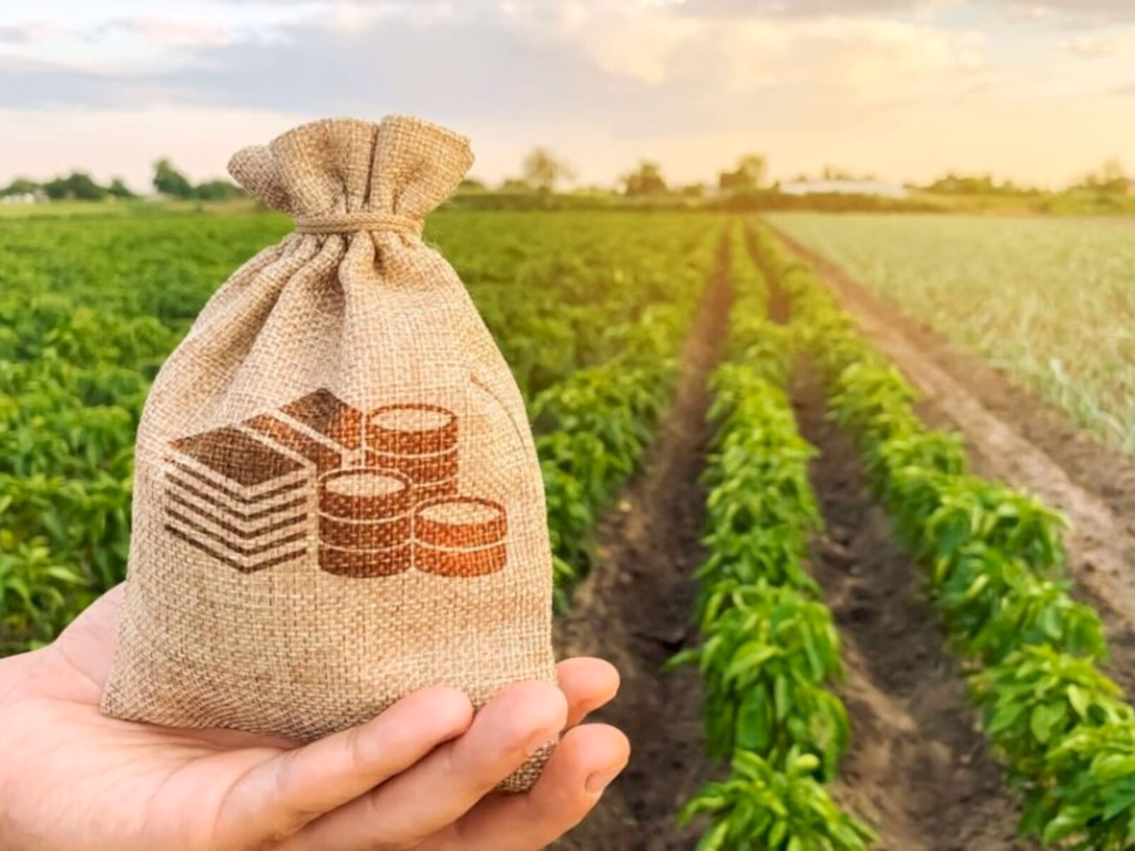 Custos de Produção acumulam alta de 26,91% em 12 meses