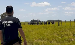 Deflagrada operação de combate ao contrabando de cigarros e trabalho escravo