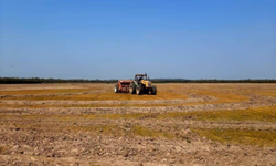 Painel projeta futuro do agronegócio brasileiro no pós-pandemia